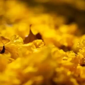 파워볼실시간 통계 시각화로 배우는 패턴 착시와 편향