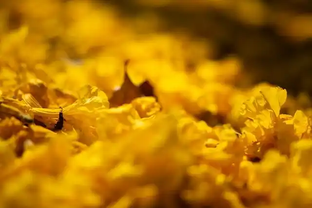 파워볼실시간 통계 시각화로 배우는 패턴 착시와 편향